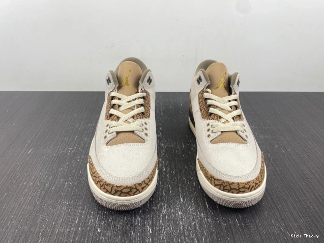 Kicktheory 3 Air Jordan Palomino CT8532-102 0815